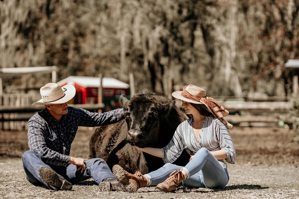 couple-petting-a-cow-img